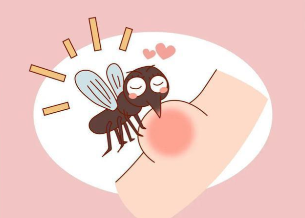 冬天咬人的蚊子已经出现了(冬天蚊子遍布除南极外的全球)