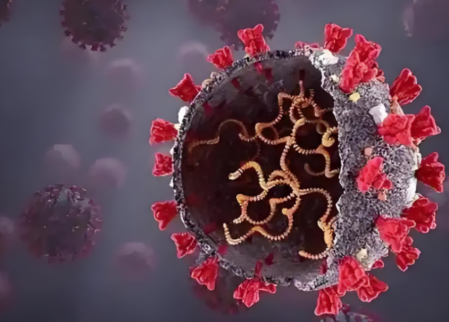 流感病毒“进化”了吗(我国流感的流行情况较往年如何) 流感病毒“进化”了吗(我国流感的流行情况较往年如何)