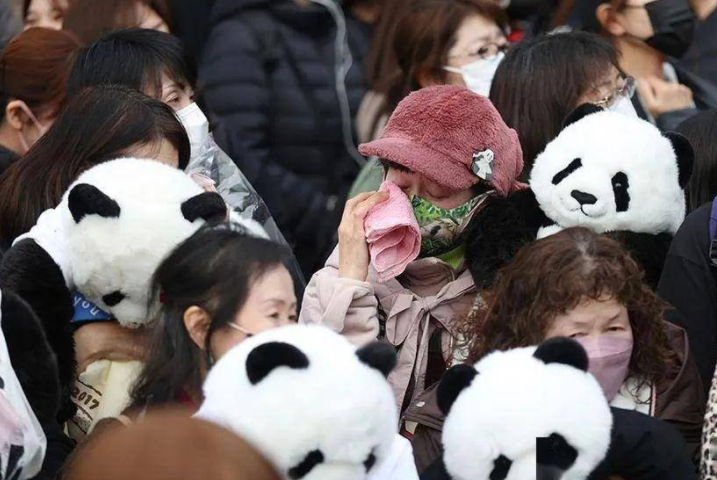 日本机场挤满了回国的人,12条中日航线全部取消! 日本机场挤满了回国的人,12条中日航线全部取消!