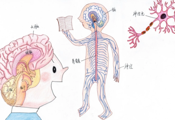 假性球麻痹临床表现有哪些 假性球麻痹是什么原因导致的