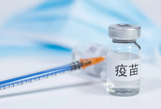 巴西批准世界首款单剂登革热疫苗 巴西2024年登革热疑似病例超650万例