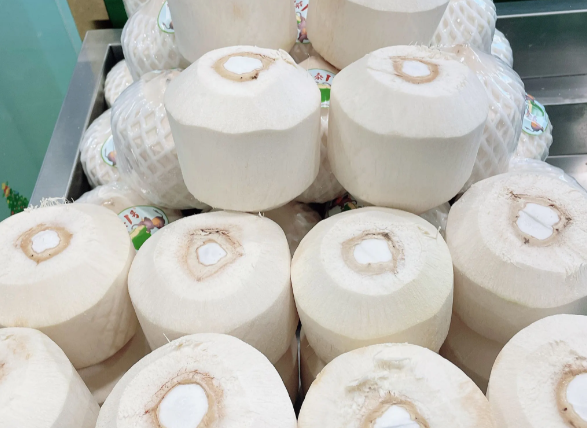 中企助力印尼椰子产业升级 印尼鲜食椰子备受中国市场青睐