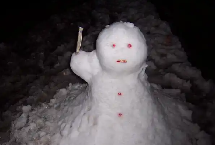 多地官宣雪假网友实名制羡慕(多地放雪假最长连休9天) 多地官宣雪假网友实名制羡慕(多地放雪假最长连休9天)