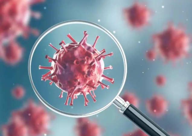 日本流感疫情持续升级，12月变异株亚型K快速扩散