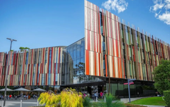 麦考瑞大学留学生热门专业推荐2026 麦考瑞大学留学生录取标准2026