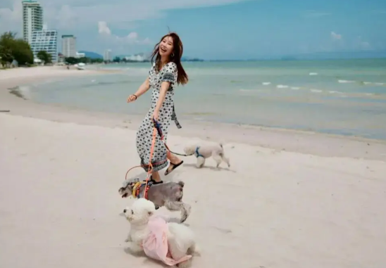 韩国酒店预订热度同比增长超240% 中国出境游旅客分流至韩国东南亚等目的地