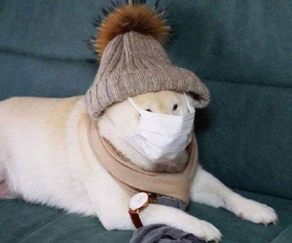 北京打工人请拿出最硬核的过冬装备(海淀满大街都是冲锋衣+长裤)