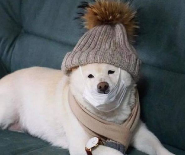 北京打工人请拿出最硬核的过冬装备(海淀满大街都是冲锋衣+长裤)