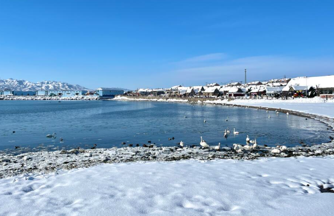 “雪窝”威海下大雪了！威海大雪又刷屏了！