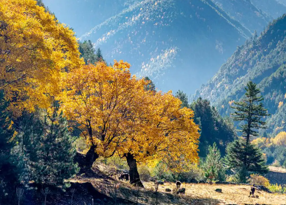 今日起东北大部地区升温10℃以上 我国20℃线推进至长江中下游一带