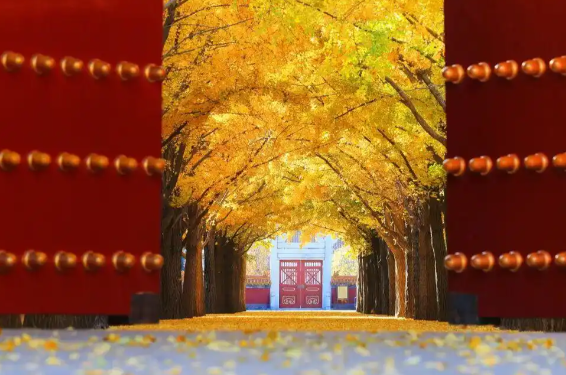 今日起东北大部地区升温10℃以上 我国20℃线推进至长江中下游一带