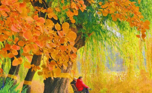 今日起东北大部地区升温10℃以上 我国20℃线推进至长江中下游一带