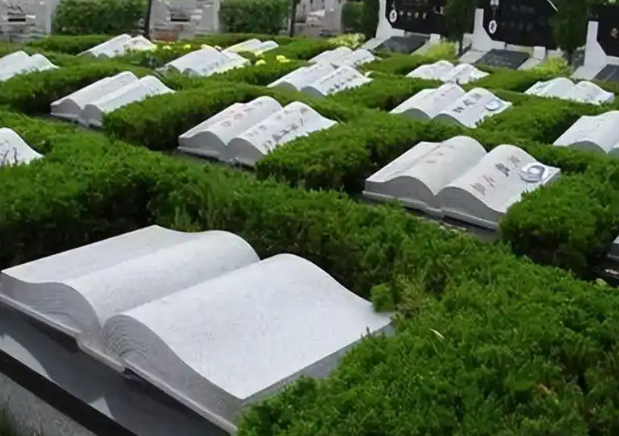 姐弟7万买相邻墓位下葬发现不相邻！为什么买相邻墓位下葬却发现不相邻？