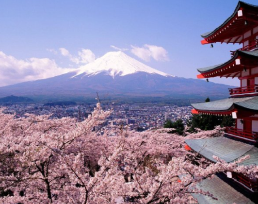 日本记者街头采访找不到中国游客 中日关系紧张中国赴日游客锐减