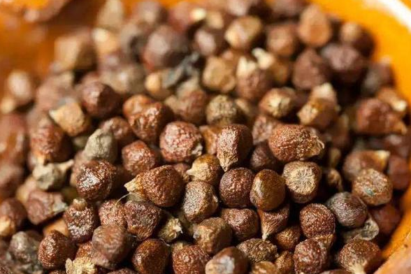 山苍子的功效有哪些 孕妇可以服用含有山苍子成分的中药吗