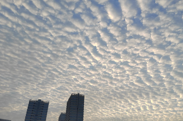 上海有网友拍到"地震云"？上海出现“地震云”是预警吗？