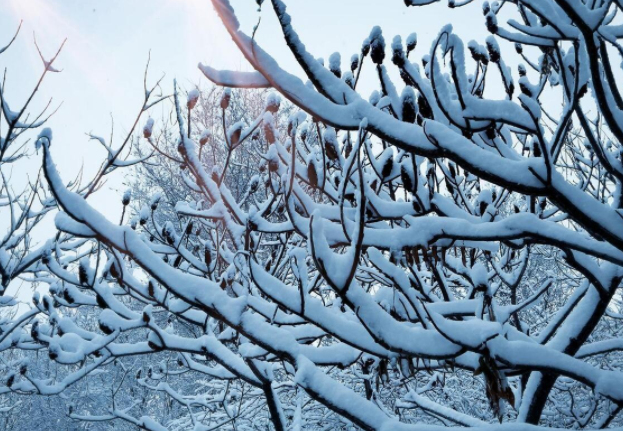 12月寒潮来袭,2025年防寒防感防病指南请查收 12月寒潮来袭,2025年防寒防感防病指南请查收