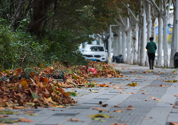 寒潮来袭!寒潮导致多地气温将创下半年来新低