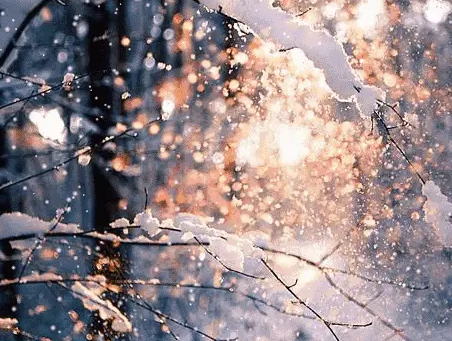 寒潮来袭!寒潮导致多地气温将创下半年来新低