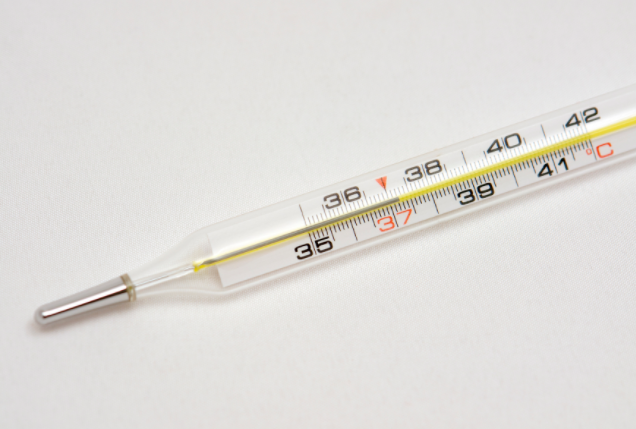 水银温度计平替长啥样?水银温度计平替售价约20元 水银温度计平替长啥样?水银温度计平替售价约20元