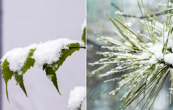 寒潮来袭!多地气温将创下半年来新低(立冬以来最大规模雨雪要来了) 寒潮来袭!多地气温将创下半年来新低(立冬以来最大规模雨雪要来了)