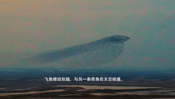 北冥有鱼竟然是真的 黄河口生态旅游区内出现鸟群形似鲲鹏的奇观 北冥有鱼竟然是真的 黄河口生态旅游区内出现鸟群形似鲲鹏的奇观
