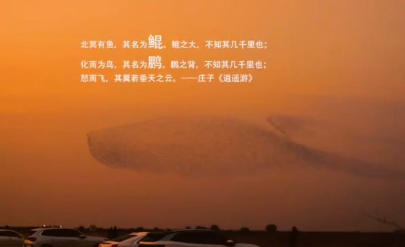 北冥有鱼竟然是真的 黄河口生态旅游区内出现鸟群形似鲲鹏的奇观 北冥有鱼竟然是真的 黄河口生态旅游区内出现鸟群形似鲲鹏的奇观
