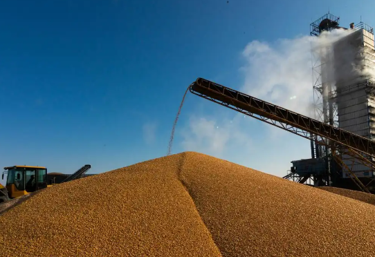 2025年全国粮食总产量增长1.2% 2025全国粮食播种面积增长0.1%