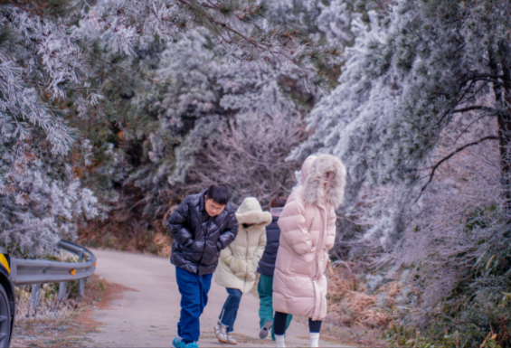 大雪暴雪来了三预警齐发 我国中东部地区日平均或最低气温下降6～8℃