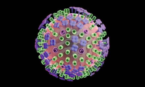 我国科学家开辟广谱抗甲流新路径，实现一网打尽甲型流感病毒
