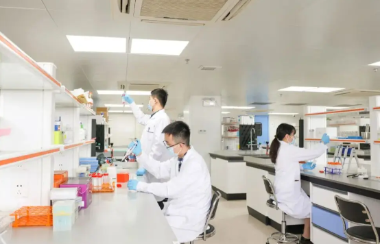 南开大学研究团队提出广谱抗甲流新策略 该策略能精准锁定并同步瓦解流感病毒复制核心 南开大学研究团队提出广谱抗甲流新策略 该策略能精准锁定并同步瓦解流感病毒复制核心