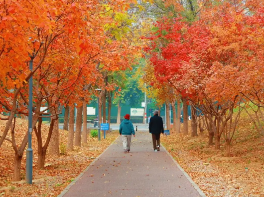 未来几天全国大部地区天气晴好 新疆北疆北部局地有大到暴雪