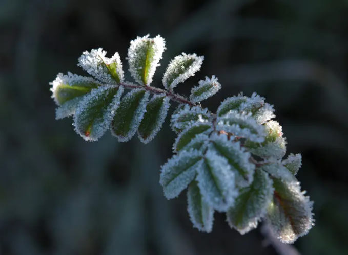 中国已经进入拉尼娜状态,今年冬天真的有极寒吗? 中国已经进入拉尼娜状态,今年冬天真的有极寒吗?