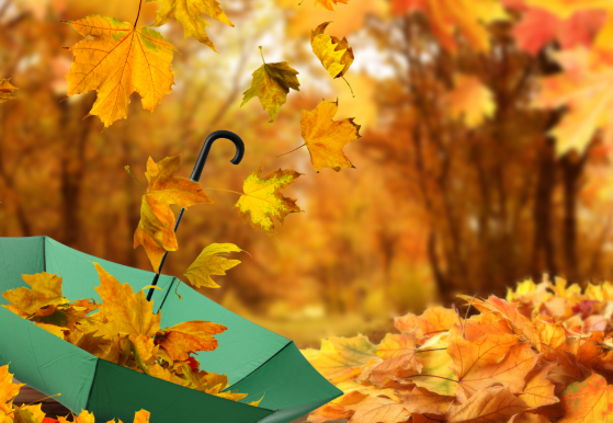 未来几天全国大部地区天气晴好 新疆北疆北部局地有大到暴雪