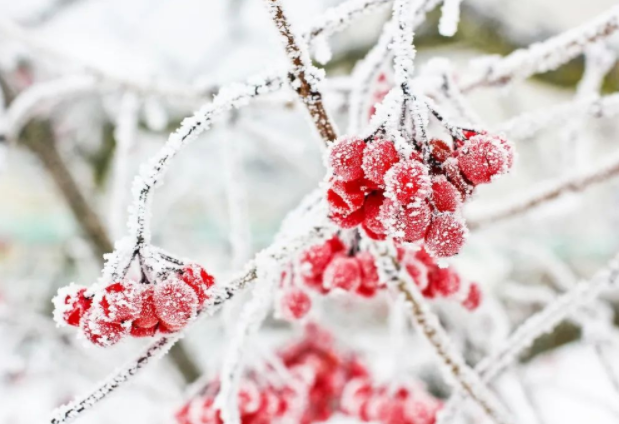 中国已经进入拉尼娜状态,今年冬天真的有极寒吗? 中国已经进入拉尼娜状态,今年冬天真的有极寒吗?