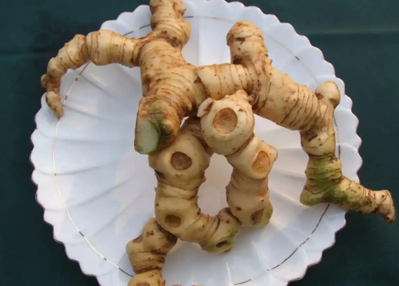 孕妇可以吃黄精吗 黄精通常用于哪些药方中