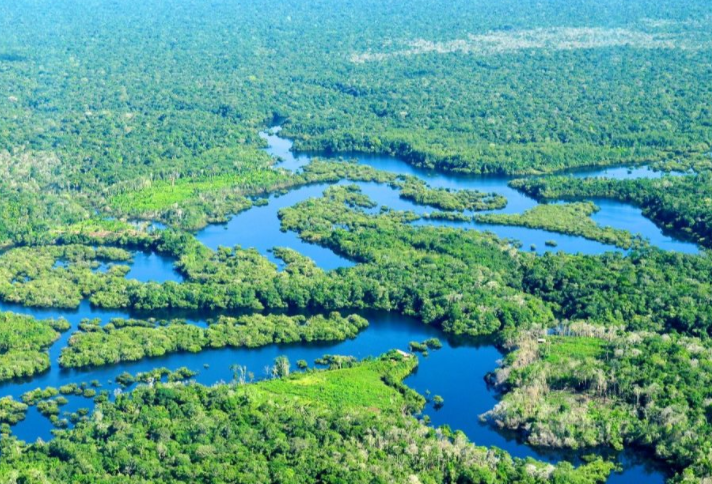 地球之肺或即将变成肺干，亚马逊雨林的现状比你想得更严峻
