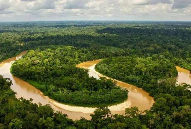 地球之肺或即将变成肺干，亚马逊雨林的现状比你想得更严峻