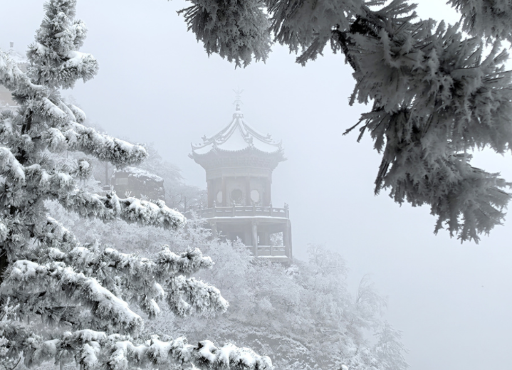 沈阳雾凇美成一幅水墨画，2025沈阳今冬首场雾凇景观!