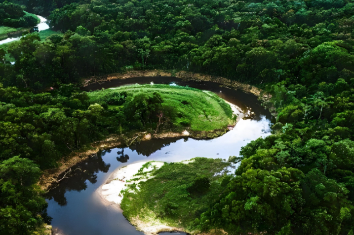 地球之肺或即将变成肺干，亚马逊雨林的现状比你想得更严峻
