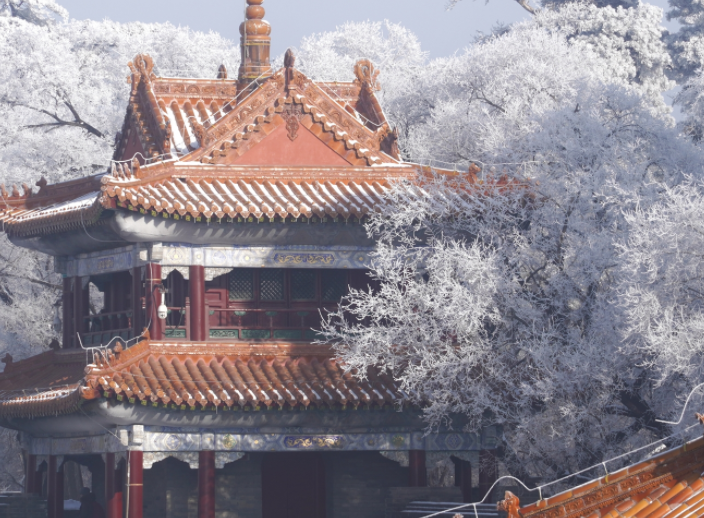 沈阳雾凇美成一幅水墨画，2025沈阳今冬首场雾凇景观!