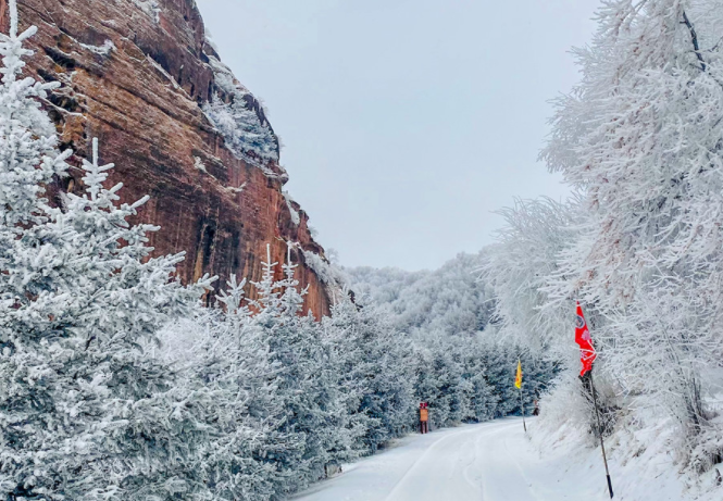 沈阳雾凇美成一幅水墨画，2025沈阳今冬首场雾凇景观!