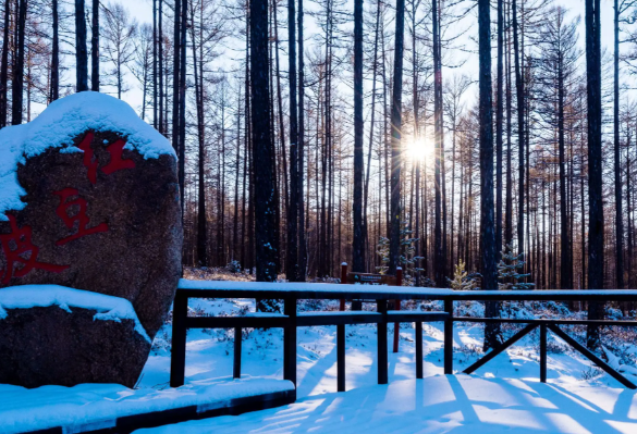 “中国最冷小镇”最低温降至-39℃ 大兴安岭呼中区城镇历史最低温达-53.2℃ “中国最冷小镇”最低温降至-39℃ 大兴安岭呼中区城镇历史最低温达-53.2℃