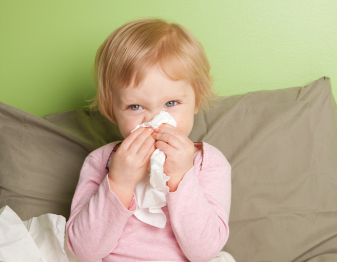 冬季室内过敏原增多？过敏性鼻炎防控指南2025