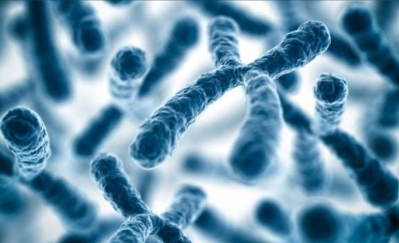 冬天还能穿短袖是基因变异吗?冬天抗冻也有哪些代价?