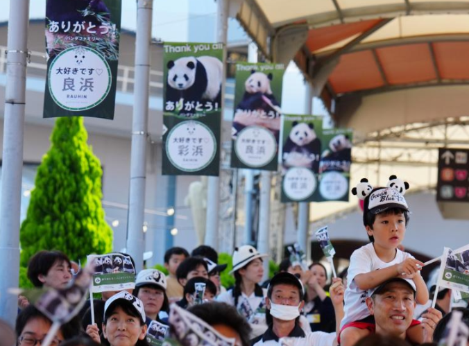 最后两只旅日大熊猫将提前回国 日本民众排长队与大熊猫告别 最后两只旅日大熊猫将提前回国 日本民众排长队与大熊猫告别