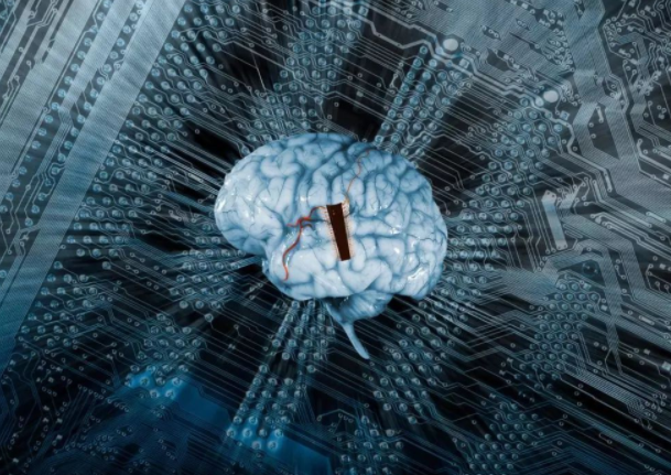 冬天还能穿短袖是基因变异吗?冬天抗冻也有哪些代价?