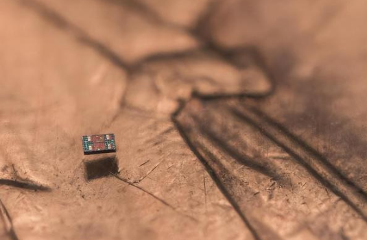 美国团队研制全球最小全自主可编程机器人 全球最小全自主可编程机器人尺寸小于1毫米 美国团队研制全球最小全自主可编程机器人 全球最小全自主可编程机器人尺寸小于1毫米