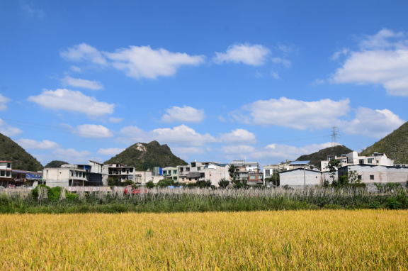 今明两天我国中东部地区持续回暖 长江中下游最高气温普遍升至20℃或以上 今明两天我国中东部地区持续回暖 长江中下游最高气温普遍升至20℃或以上