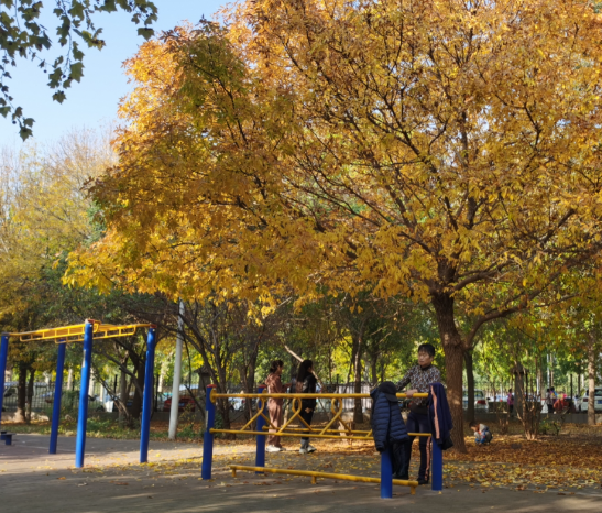 今明两天我国中东部地区持续回暖 长江中下游最高气温普遍升至20℃或以上 今明两天我国中东部地区持续回暖 长江中下游最高气温普遍升至20℃或以上